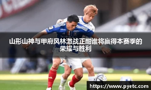 牛竞技登录入口